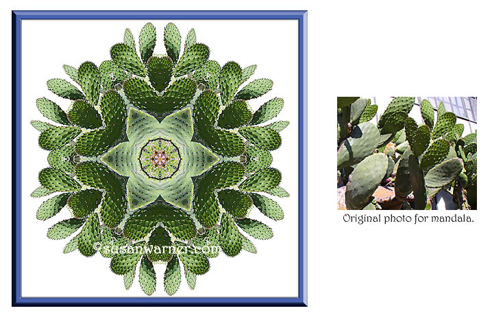 Cactus Mandala